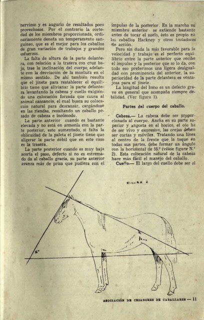 1949 FEDERACION DE CRIADORES DE CABALLARES_compressed (1)