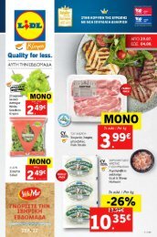 lidl-2907-0408-2019