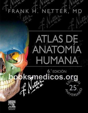 Atlas de Anatomia Humana Netter 6a Ed