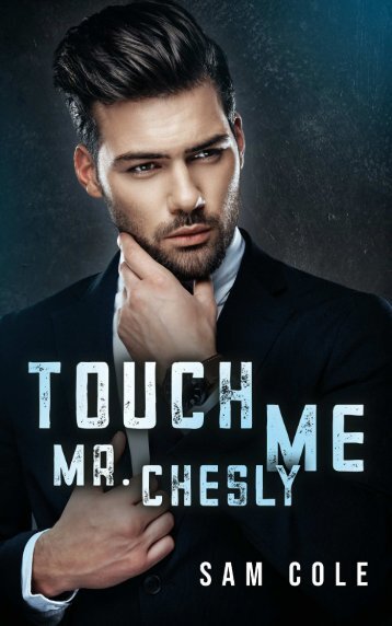 Leseprobe aus der Gay Romance  »Touch Me, Mr. Chesly«
