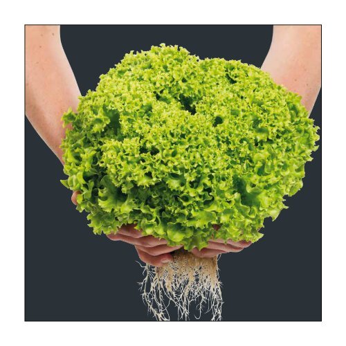 Brochure Hydroponic Scandinavia 2019