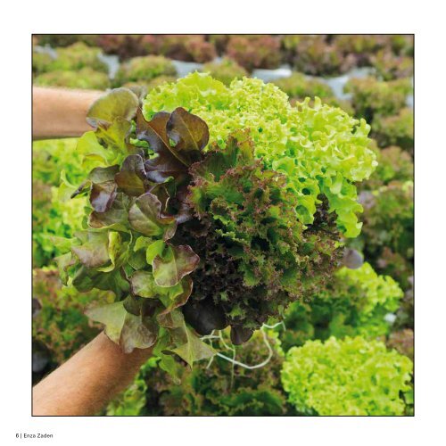 Brochure Hydroponic Scandinavia 2019