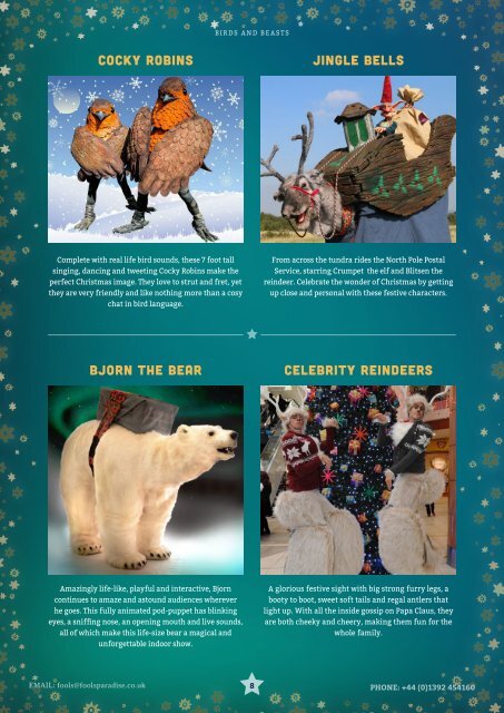 Fool's Paradise Christmas Brochure 2019