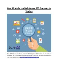 Blue 16 Media – A Well-Known SEO Company in Virginia