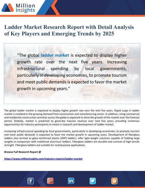 Ladder Market Research Report with Detail Analysis 2025