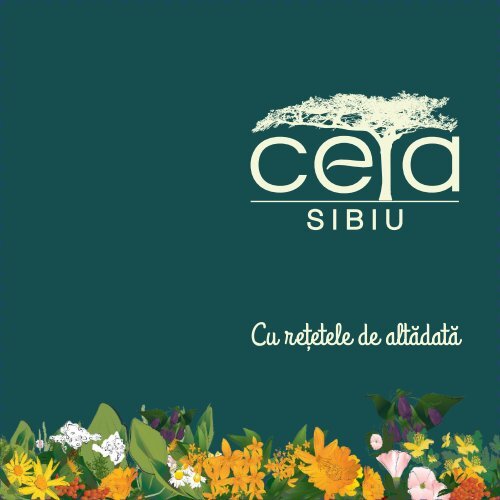 CATALOG CETA SIBIU 2019 