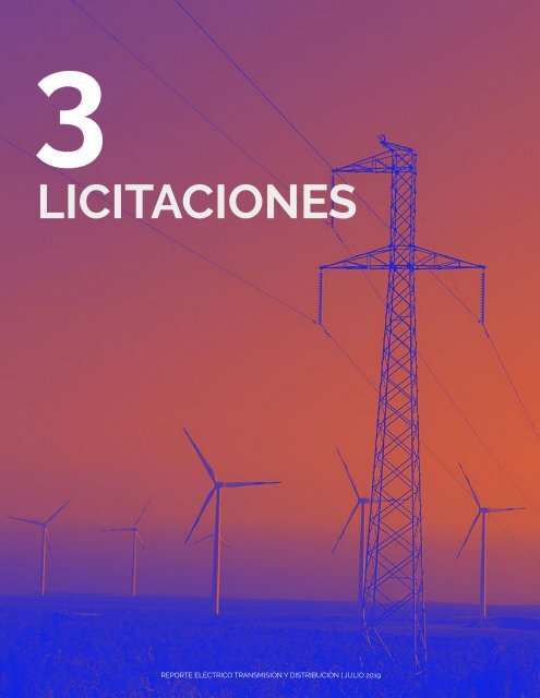 REPORTE ELÉCTRICO JULIO 2019