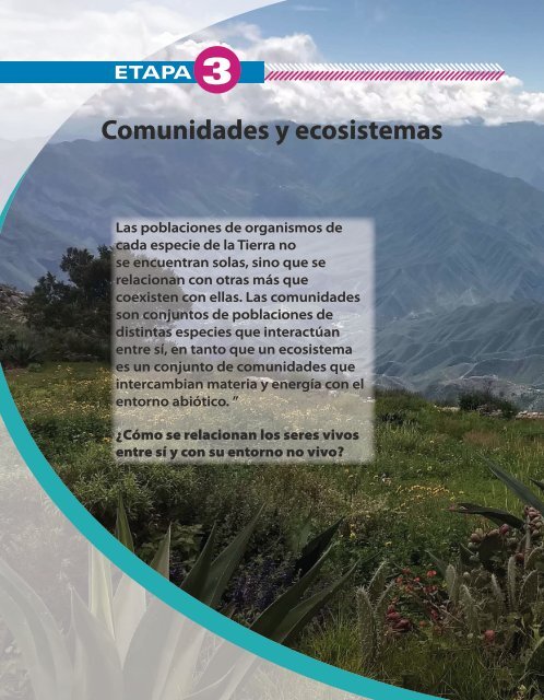 La Naturaleza De La Vida Etapa 3