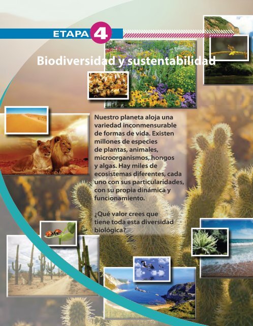 La Naturaleza De La Vida Etapa 4