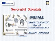 Lecție în echipă - Metale