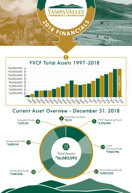 2018 YVCF Annual Report