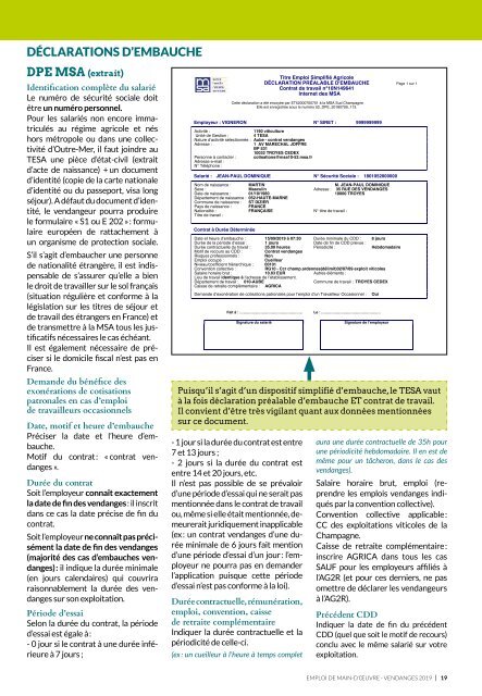 Les Guides du SGV - Emploi de main-d'œuvre vendange 2019