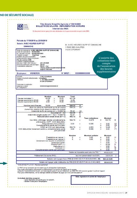 Les Guides du SGV - Emploi de main-d'œuvre vendange 2019