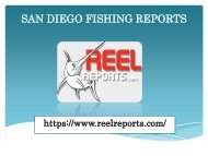 SAN DIEGO FISHING REPORTS