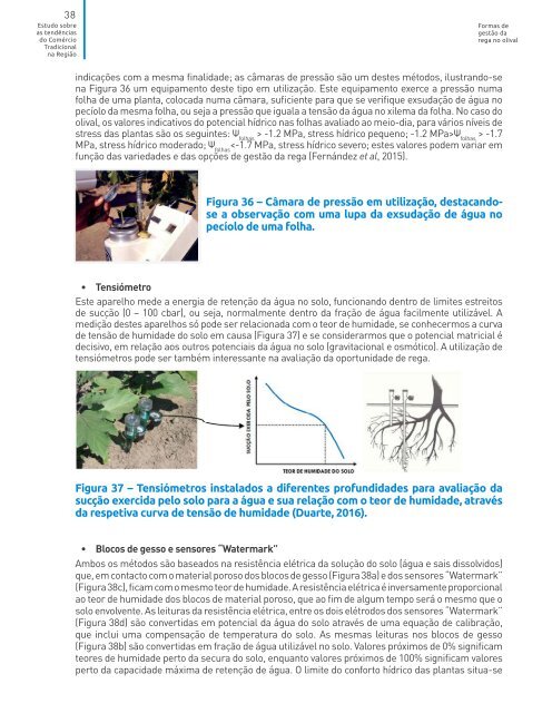 Guia boas práticas para o uso eficiente da água no setor Olivícola