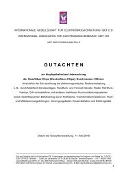 Gutachten ElectroClean-Chip deutsch