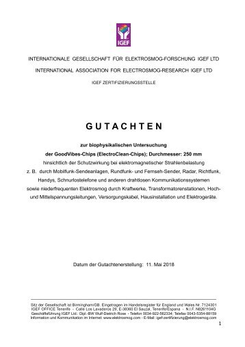 Gutachten ElectroClean-Chip deutsch