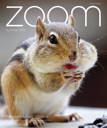 ZOOM | Summer 2019