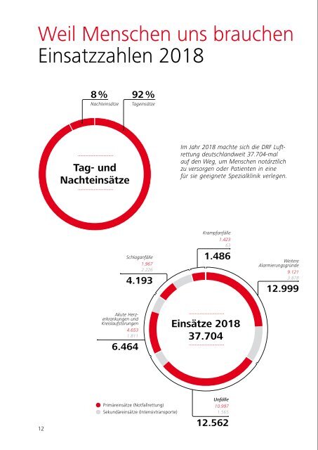 DRF e.V. – Jahresbericht 2018 