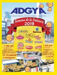 Revista-Adgya-666