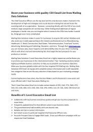 CEO Email List from Mailing Data Solutions-converted