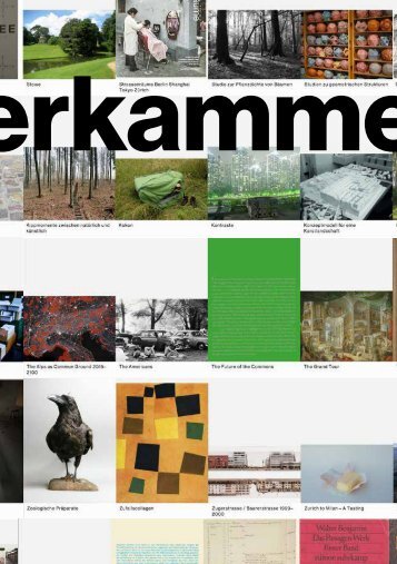 Meret Arnold «wunderkammer – wahrnehmen, sammeln, ordnen, übersetzen, visualisieren»