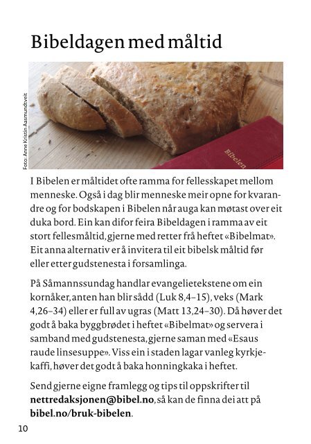 Bruk Bibelen: Bibeldagen (nn)