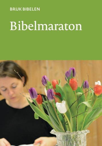 Bruk Bibelen: Bibelmaraton (nn)