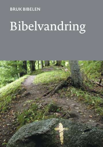 Bruk Bibelen: Bibelvandring (nn)