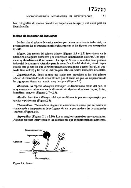 MICROBIOLOGIA DE LOS ALIMENTOS