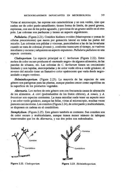 MICROBIOLOGIA DE LOS ALIMENTOS