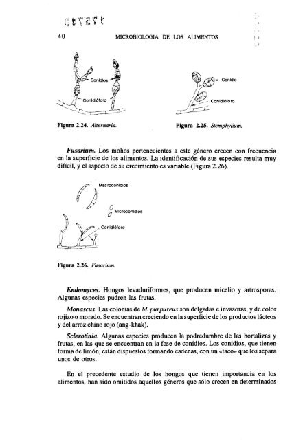 MICROBIOLOGIA DE LOS ALIMENTOS