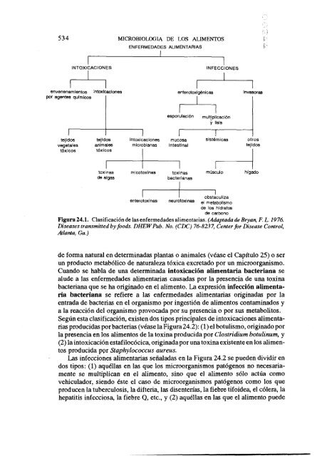 MICROBIOLOGIA DE LOS ALIMENTOS