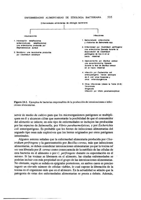 MICROBIOLOGIA DE LOS ALIMENTOS