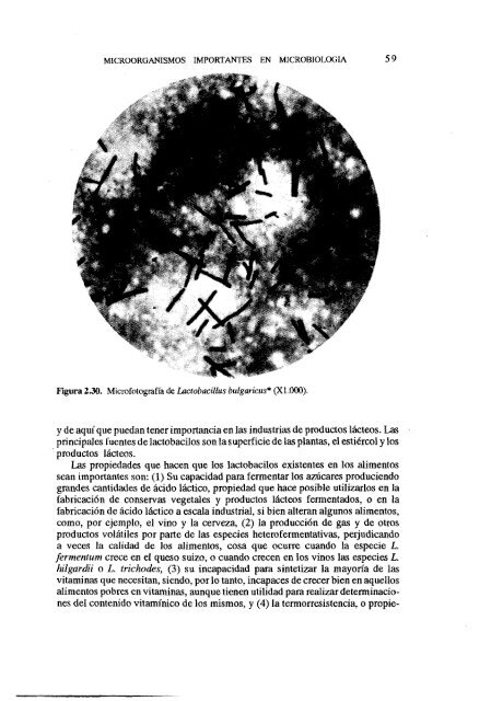 MICROBIOLOGIA DE LOS ALIMENTOS