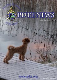PDTE 2011 February Newsletter