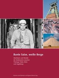 Bunte Salze, weiße Berge