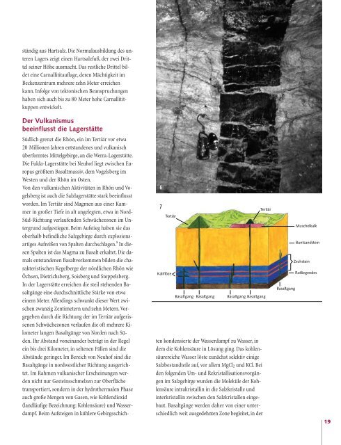 Bunte Salze, weiße Berge