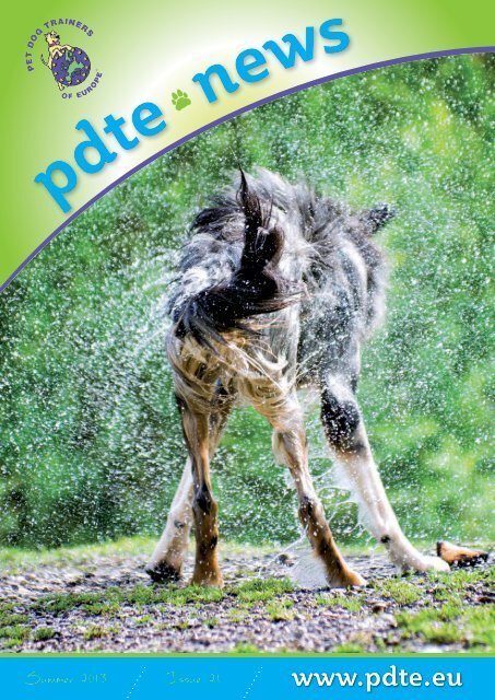 PDTE 2013 Summer Newsletter
