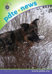 PDTE 2013 Winter Newsletter