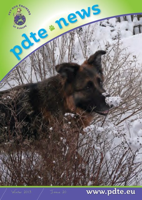 PDTE 2013 Winter Newsletter