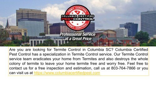 Steps of Termite Control in Columbia SC