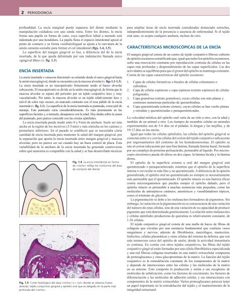 Periodoncia.Eley.6a.Ed