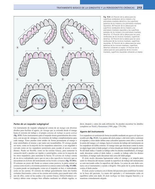 Periodoncia.Eley.6a.Ed