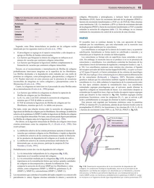 Periodoncia.Eley.6a.Ed