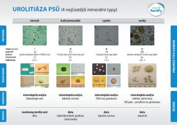 Urolitiaza Psu_Plakat A3
