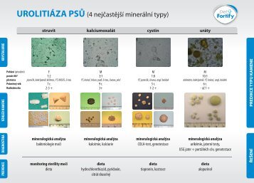Urolitiaza Psu_Plakat A3