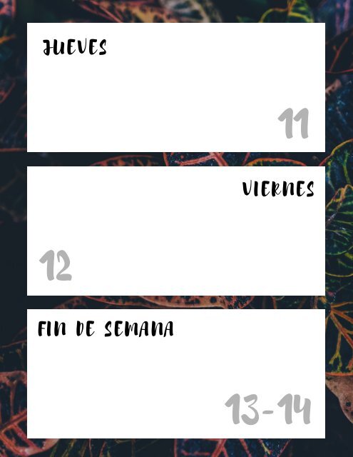 Horario de clases