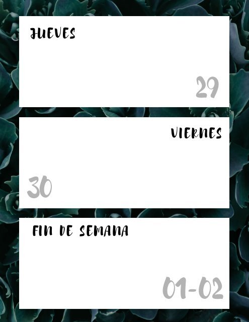 Horario de clases