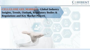 Cellulose gel Market